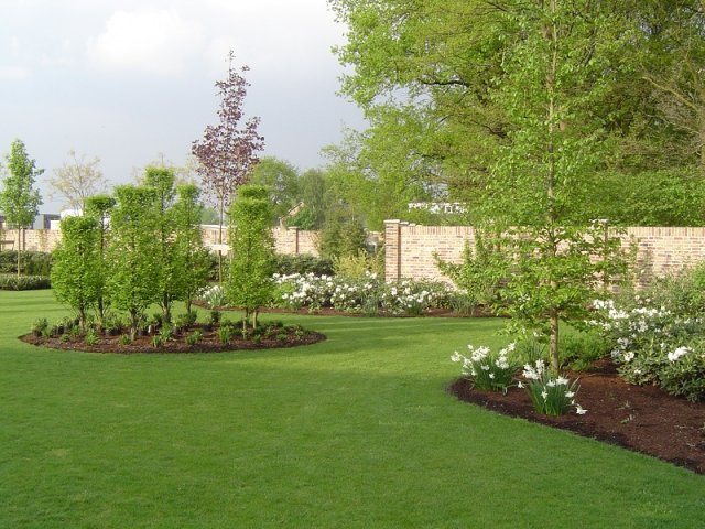 Aanleg gehele tuin nieuwbouw, Someren